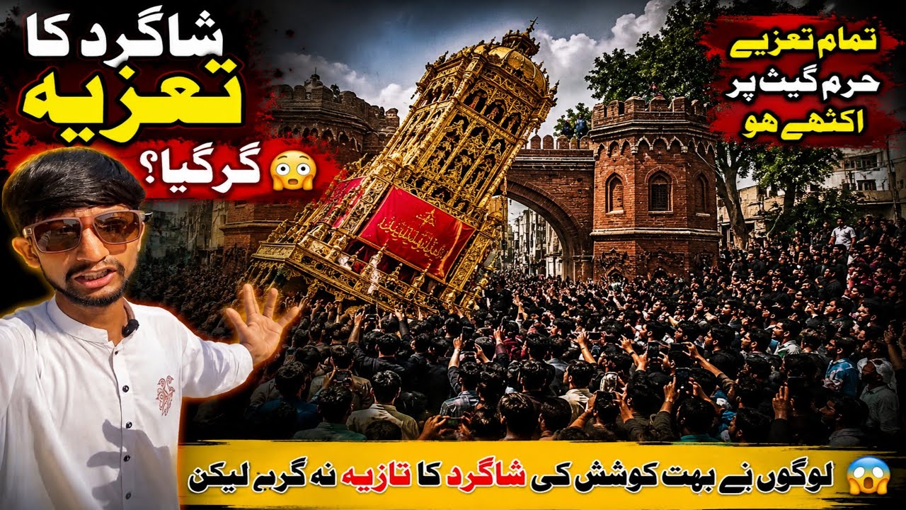 10 Muharram Multan | Haram Gate Main Jitne Taziye Aate Hain | Complete Documentary