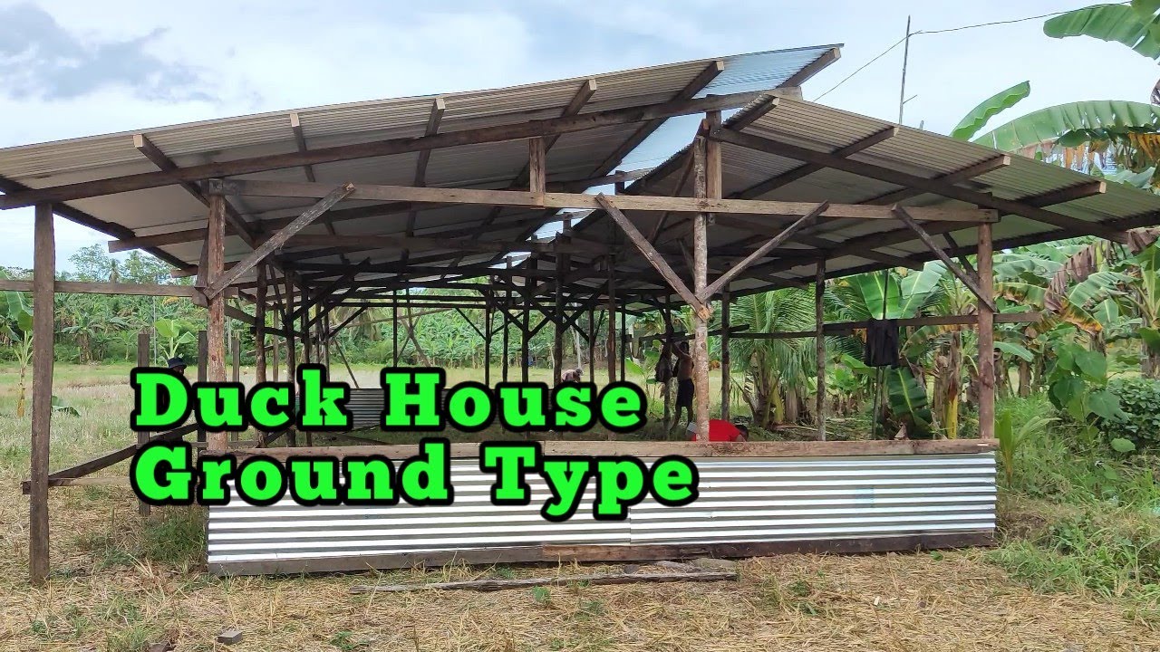 Making Duck House Ground Type || Balones Duck Farm || Itik Pinas