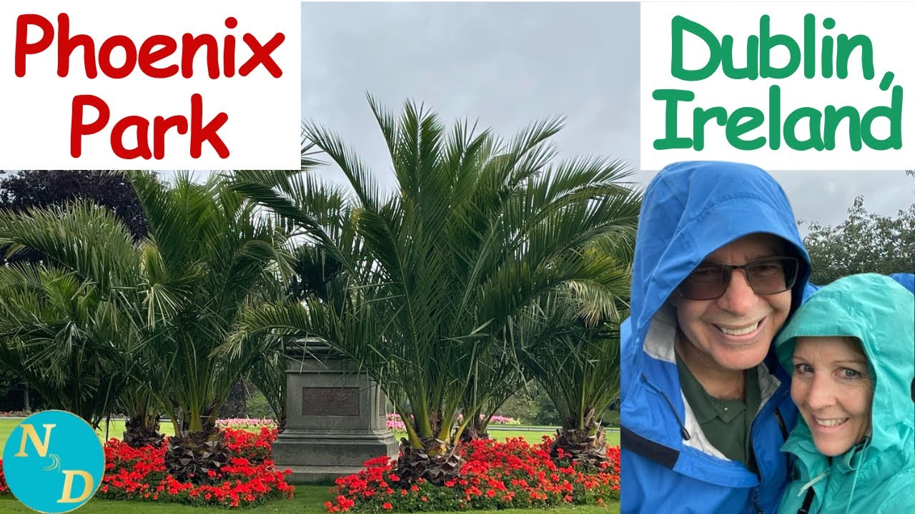 Dublin's Best Kept Secret Missed By Most - Phoenix Park