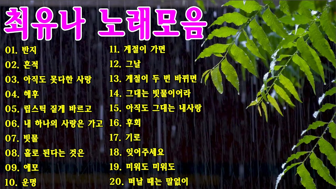 추억의 가요 - 최유나 노래모음 🍃 최유나 카페음악 20곡🎶반지, 흔적, 아직도 못다한 사랑..