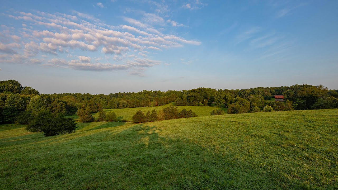 Stunning Farm Land for Sale in Orange County, VA