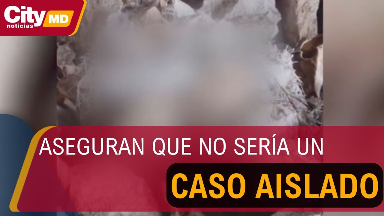 Animalistas piden a autoridades ambientales seguimiento a cráneos de animales en Bogotá | CityTv