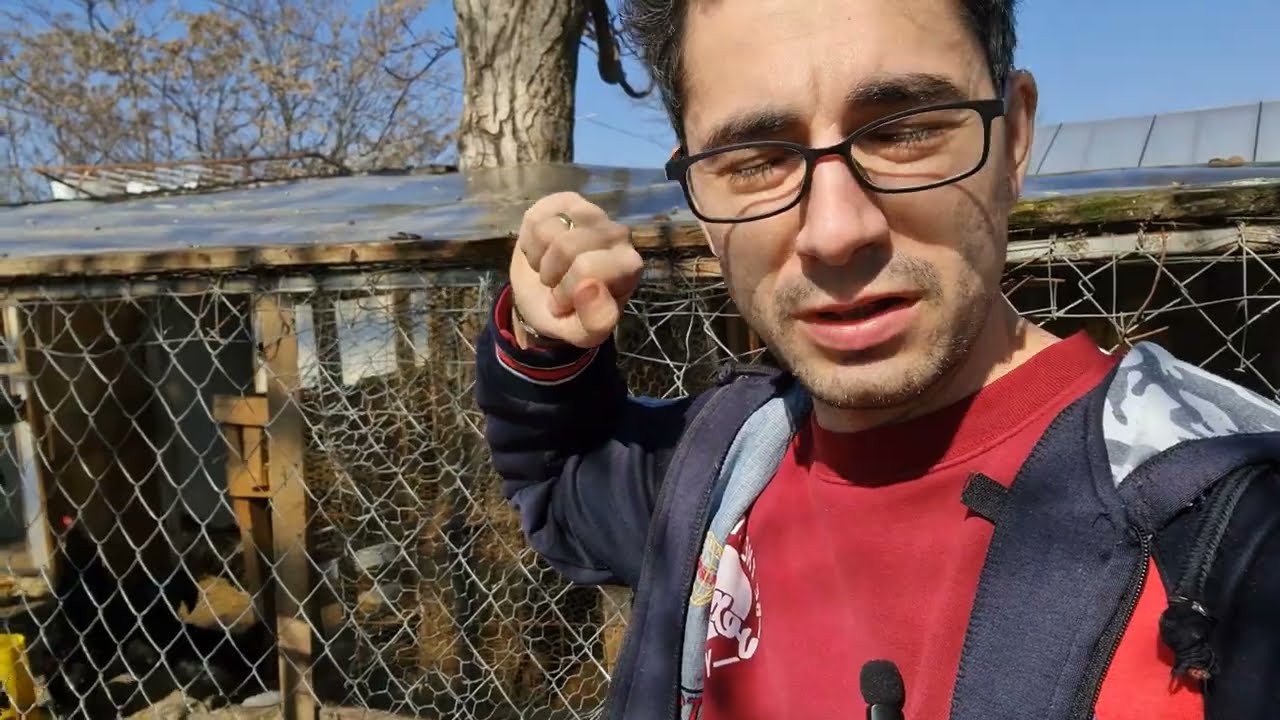 Viața la țară - Am făcut țarcuri noi pentru rațele pitice! + ce urmeaza să mai fac?