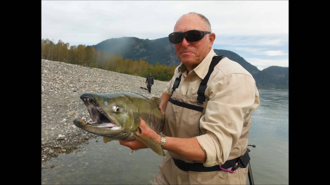FRASER AND HARRISON RIVERS SALMON FLY FISHING 2015