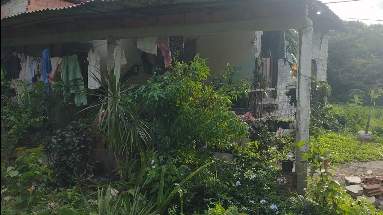 COMO ESTÁ FICANDO LINDO NOSSO QUINTAL