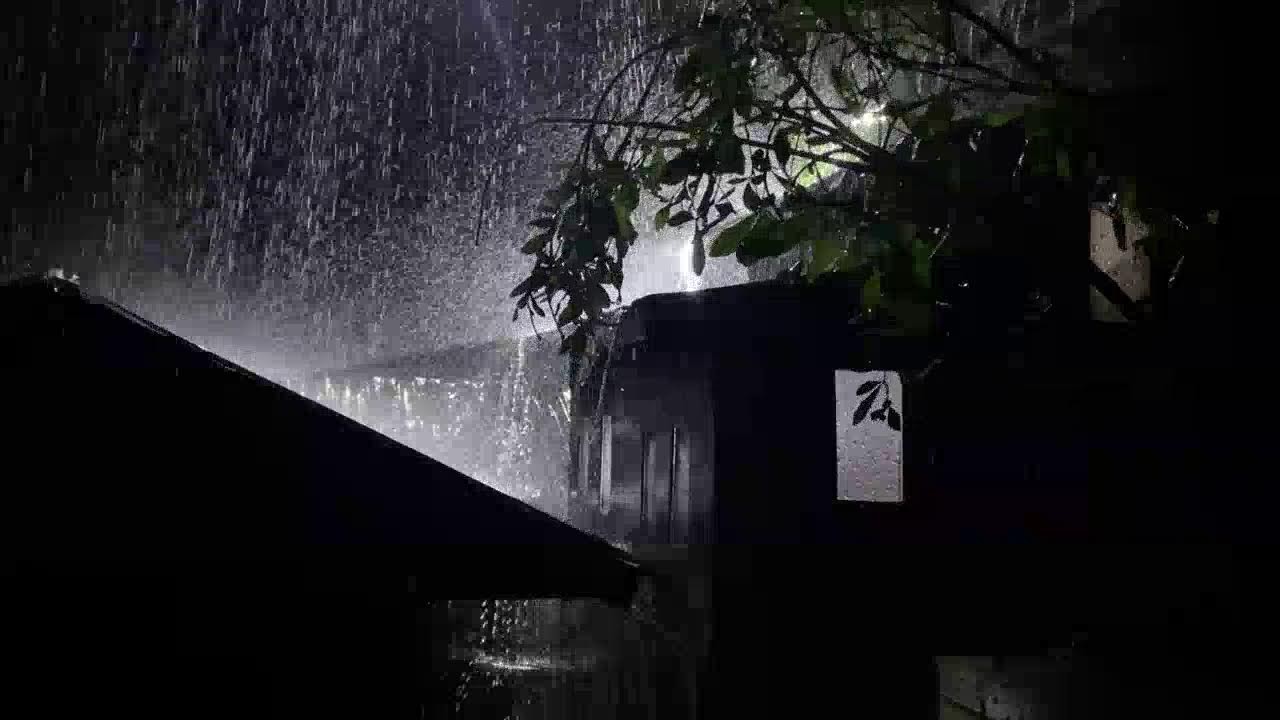Heavy Rain on Tin Roof 🌧️ Fall Asleep Instantly