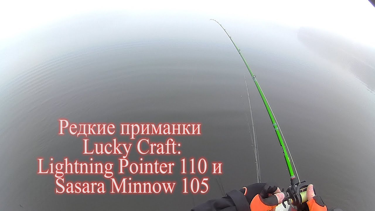 Rare Lucky Craft Lures - Lightning Pointer 110 and Sasara Minnow 105