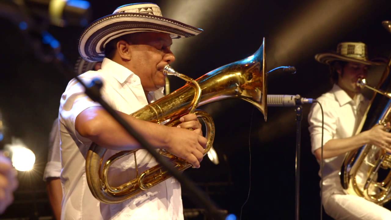 Palenque la papayera preview