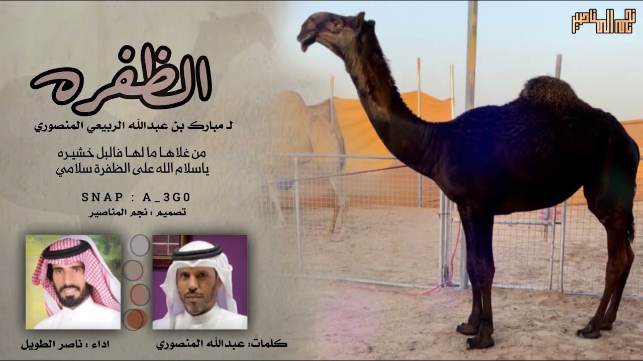 ( الظفره ) المالك مبارك عبدالله الربيعي المنصوري - كلمات / عبدالله المنصوري - اداء / ناصر الطويل