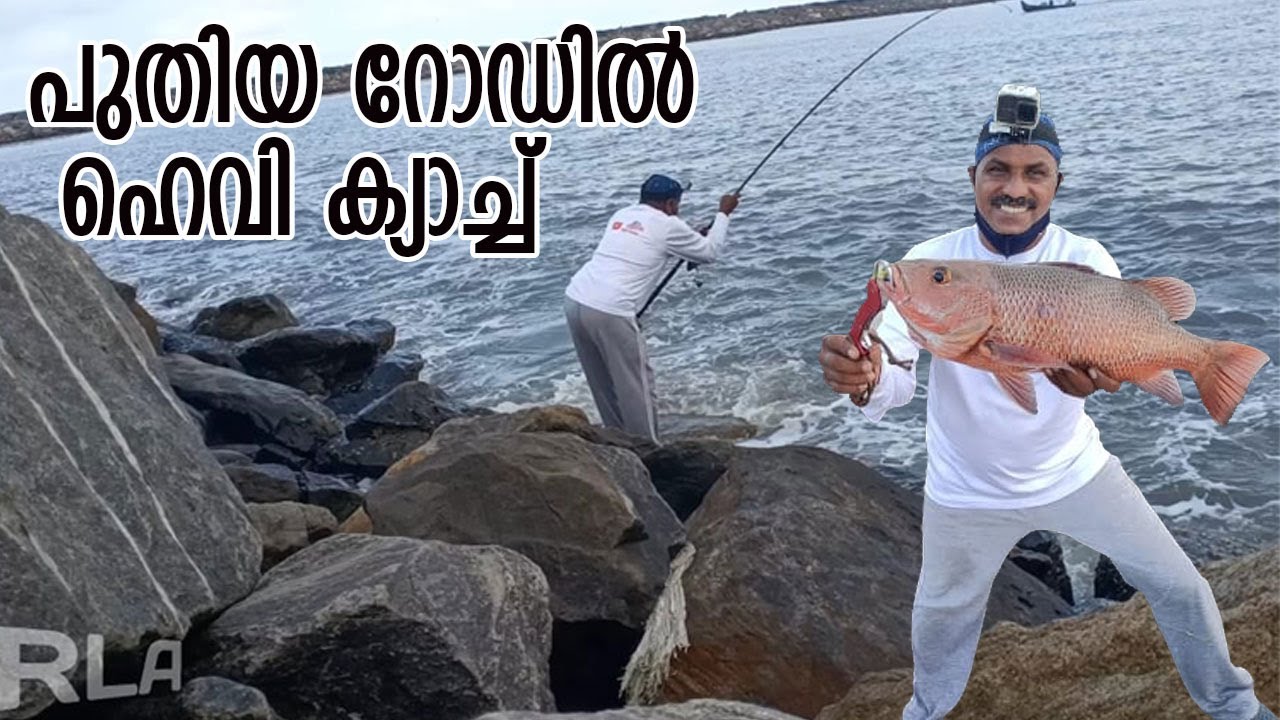 Heavy/catch/in/new/rod/Indra/ പുതിയ റോഡിൽ ഹെവി ക്യാച്ച്/mangrovejack/fishng/in/kerala/keralafishing/