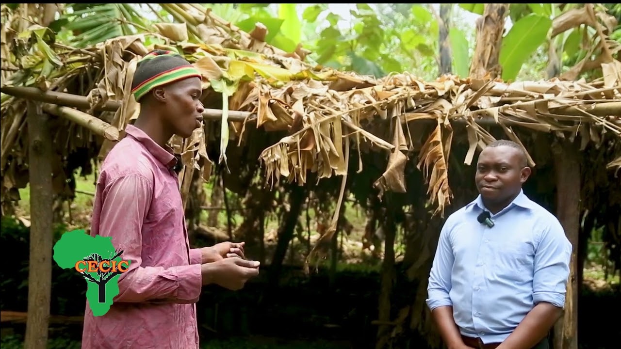 From Tiny Seed to Thriving Hive: Challenges & Benefits of Fruit Trees for a Ugandan Farmer