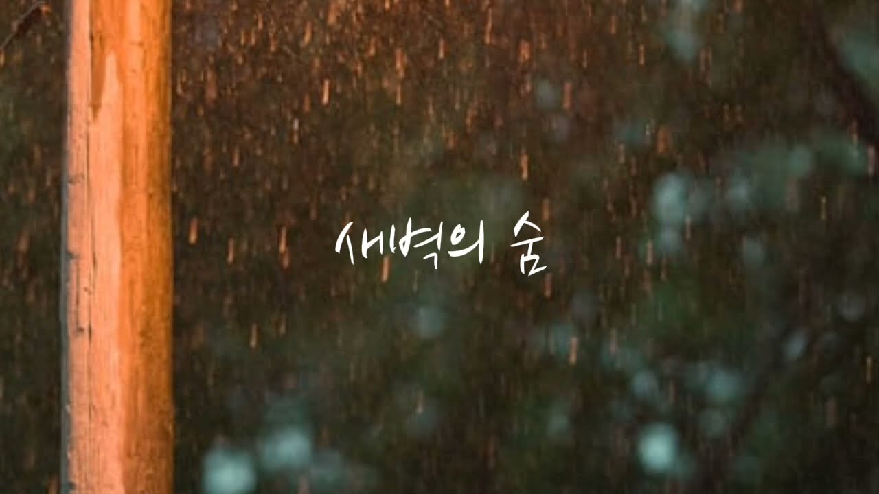 새벽의 숨