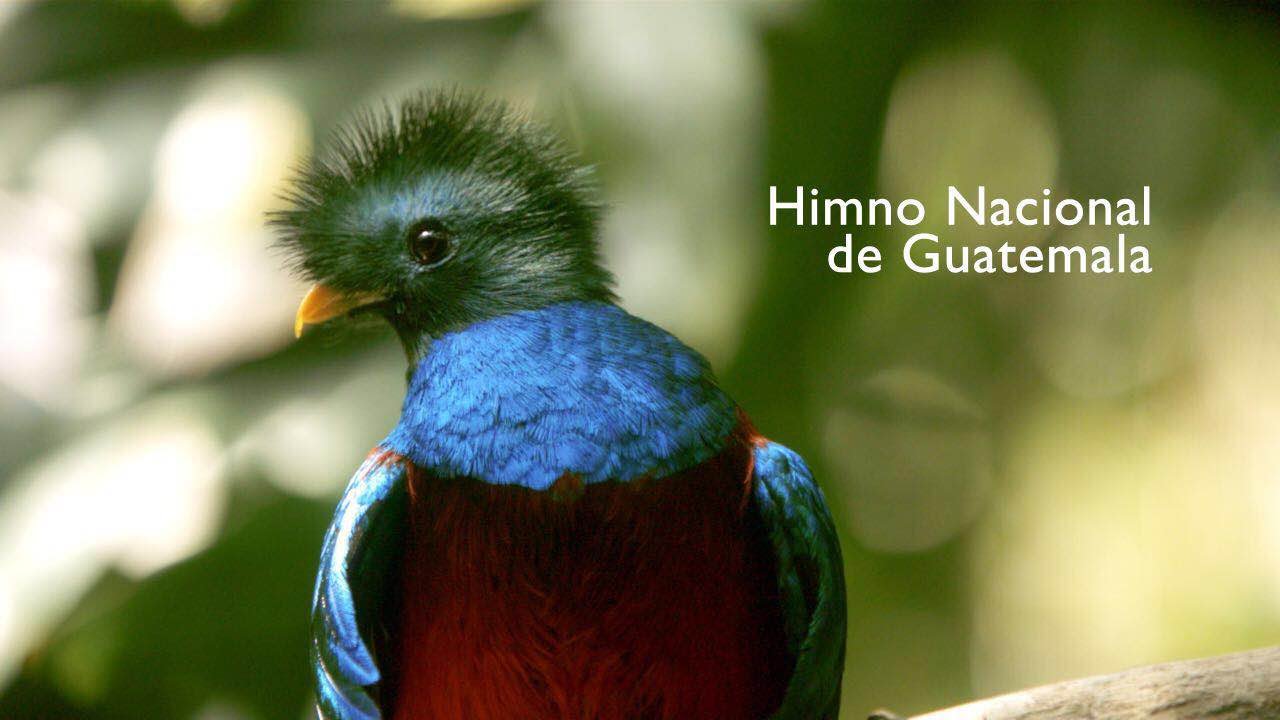 HIMNO NACIONAL DE GUATEMALA 2016