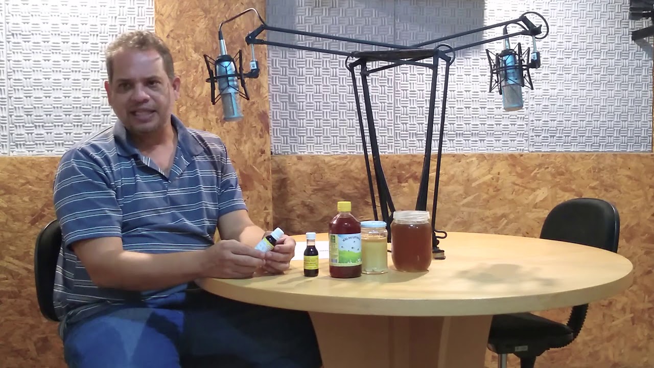 Principais produtos das abelhas - QUE BICHO &Eacute; ESSE? - S&Eacute;RIE ABELHAS