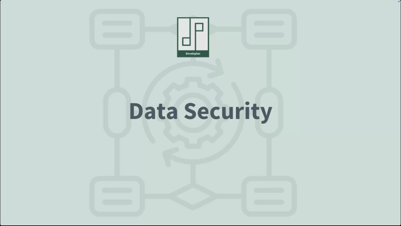 Developlan Digital's Data Security