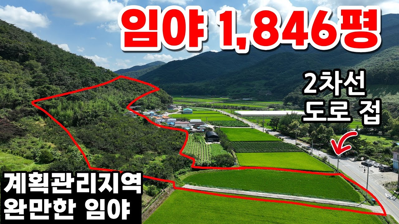 임야매매 시골땅 완만한 경사임야 건축가능한임야 계획관리지역 임야매물 농지원부만들기 직불금 은퇴자 귀농귀촌 농장 수목원 투자용임야 전라도임야매매 싼임야 곡성임야-김씨네부동산