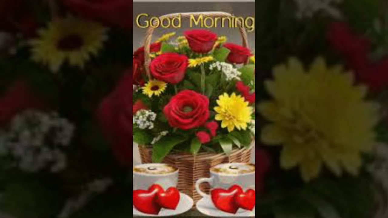 #music #love #motivation islamic #tags #nice 🌹👍🌹👍🌹👍