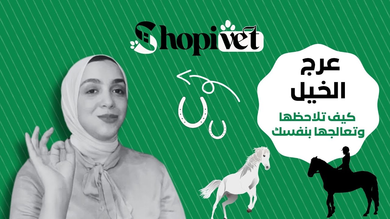 أخطر علامات عرج الخيل – كيف تلاحظها وتعالجها بنفسك؟
