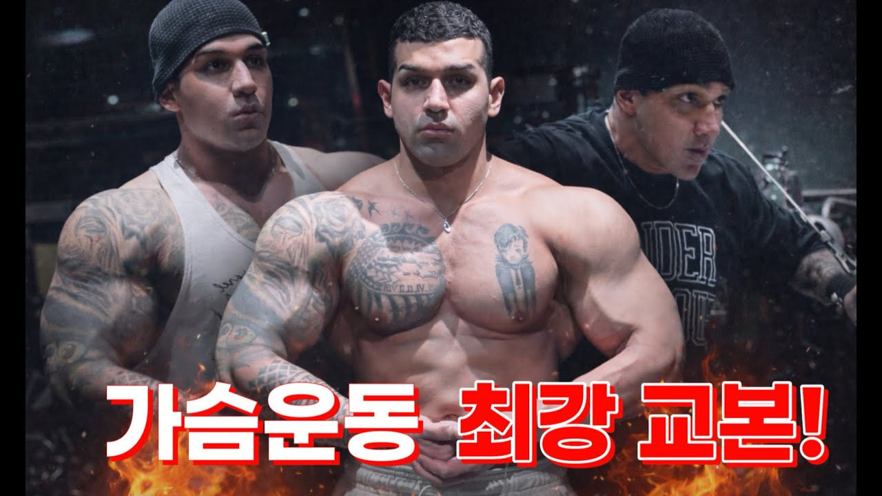 11- 비시즌 가슴 운동🔥