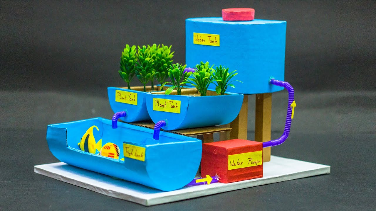 Science Projects | Aquaponic Farming Model