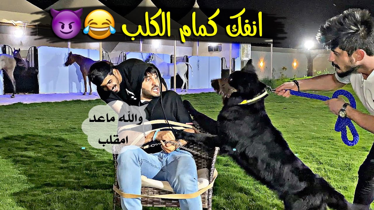 مقلب في ديقو ملك المقالب - خليته يندم يوم لك ويوم عليك 😈🤣