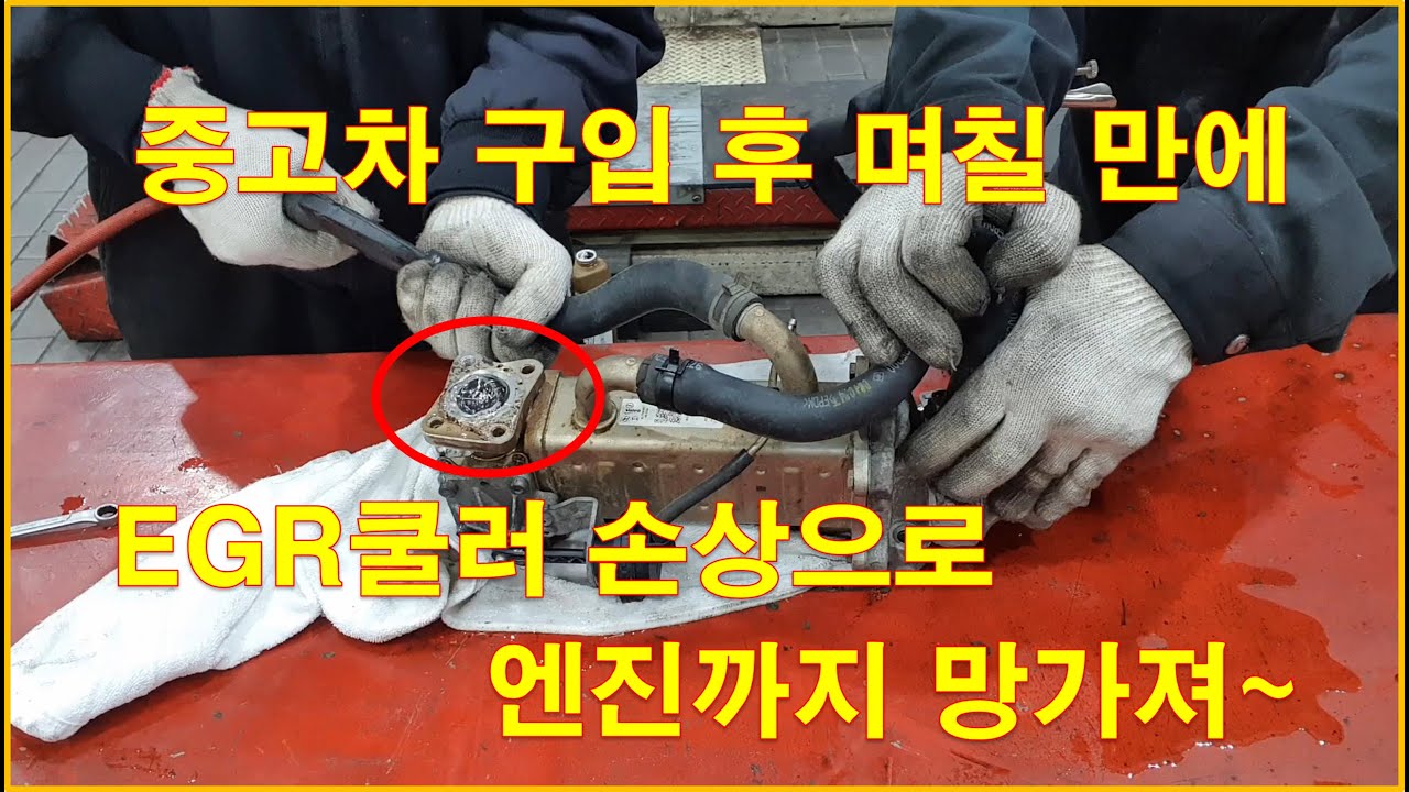 차정비TV 554회 - 중고차 구입 후 며칠 안되어 엔진 망가짐 - 울산 언양 서부카