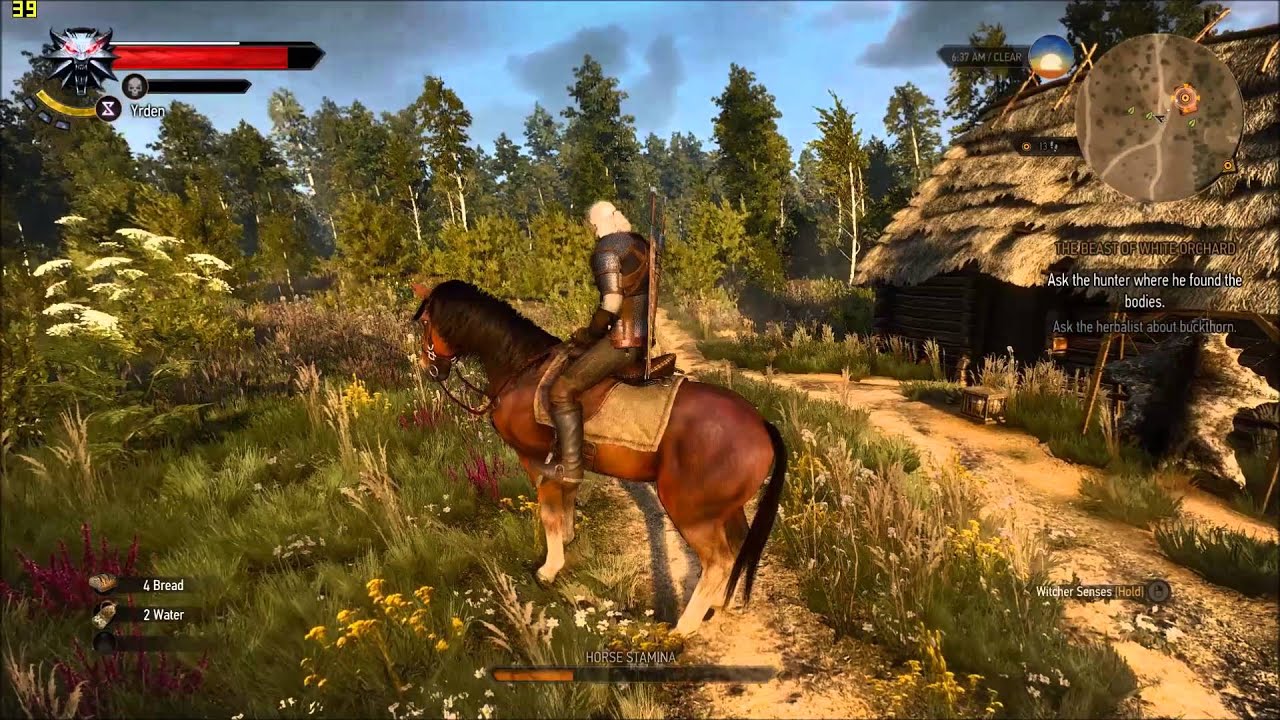 The Witcher 3: Wild Hunt GTX 970 1080p Ultra Settings Gameplay FRAME-RATE TEST