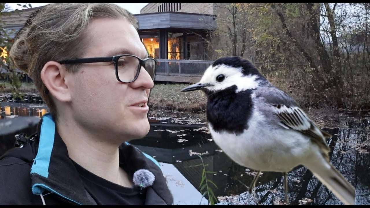 Was für ein Vogel bin ich?