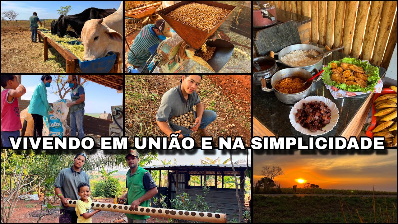 AQUI NÃO TEM PREGUIÇA TEM É FARTURA! FOGÃO A LENHA CHEIO DE DELÍCIAS FEITAS PELA MINHA MÃEZINHA 😍🙌🏼