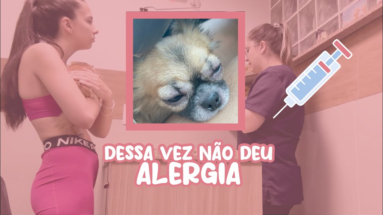 VACINA DE RAIVA, ABRINDO COMPRINHAS, DICAS PET | VLOG