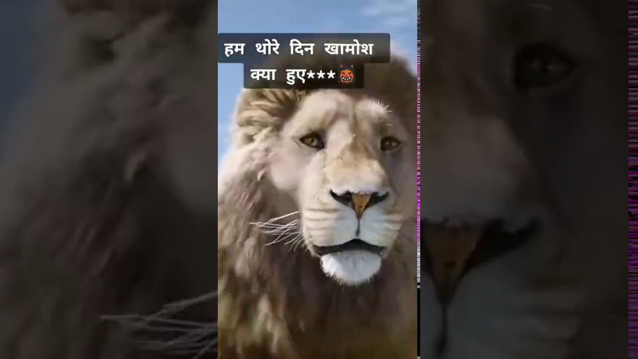 Royal status full screen without watermark  || 2020 best status