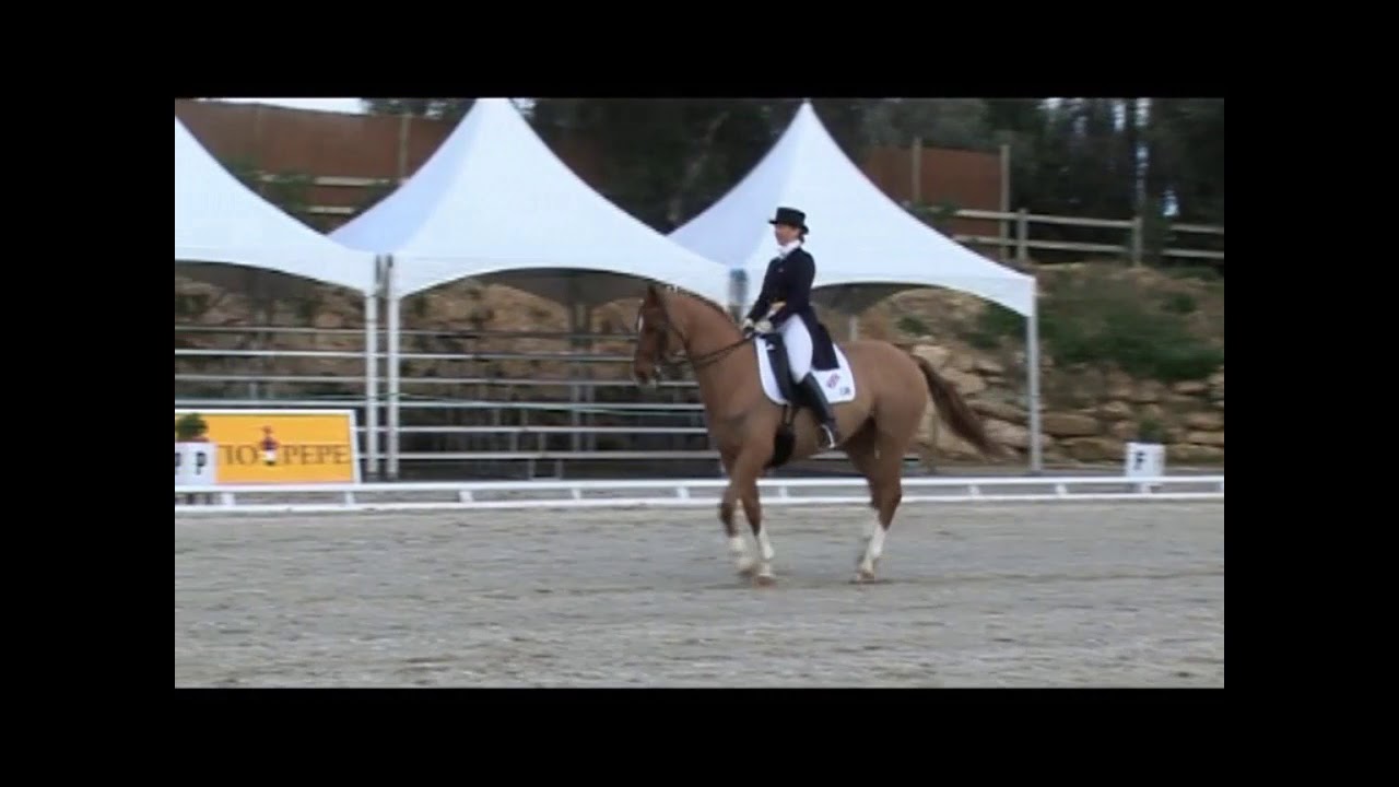 Scales of training #1 rhythm - canter sequence