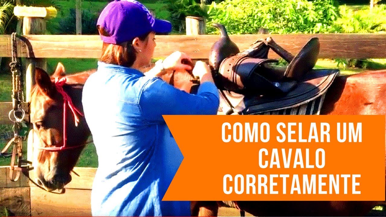 COMO SELAR UM CAVALO E MELHORAR SEU DESEMPENHO PASSO A PASSO