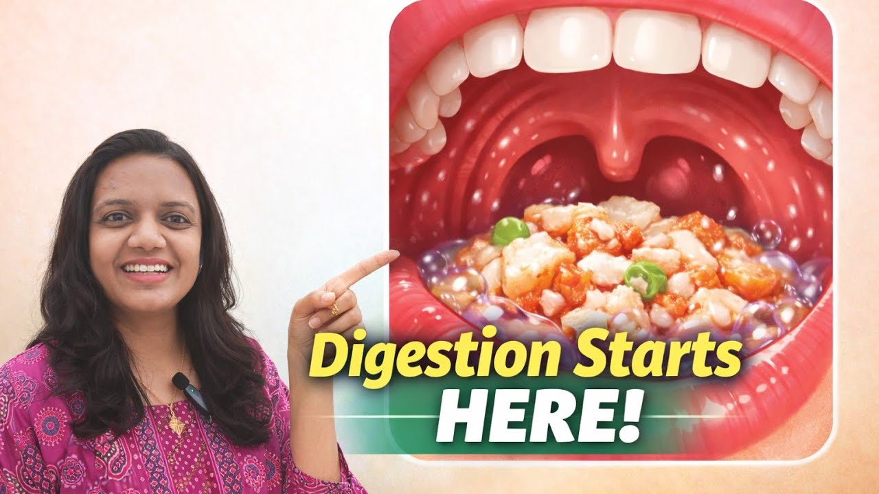 How Digestion Starts in the Mouth | Role of Saliva Explained Simply