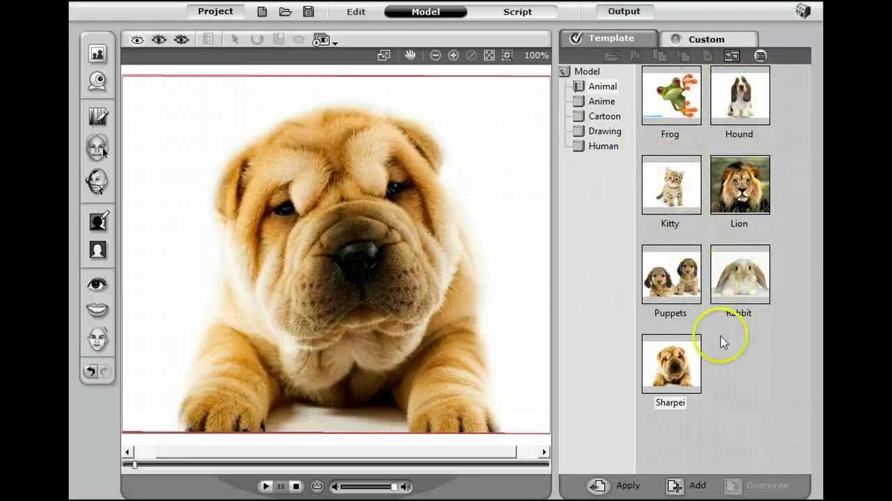 How To Make A Talking Dog Video: Talking Dogs And Animals