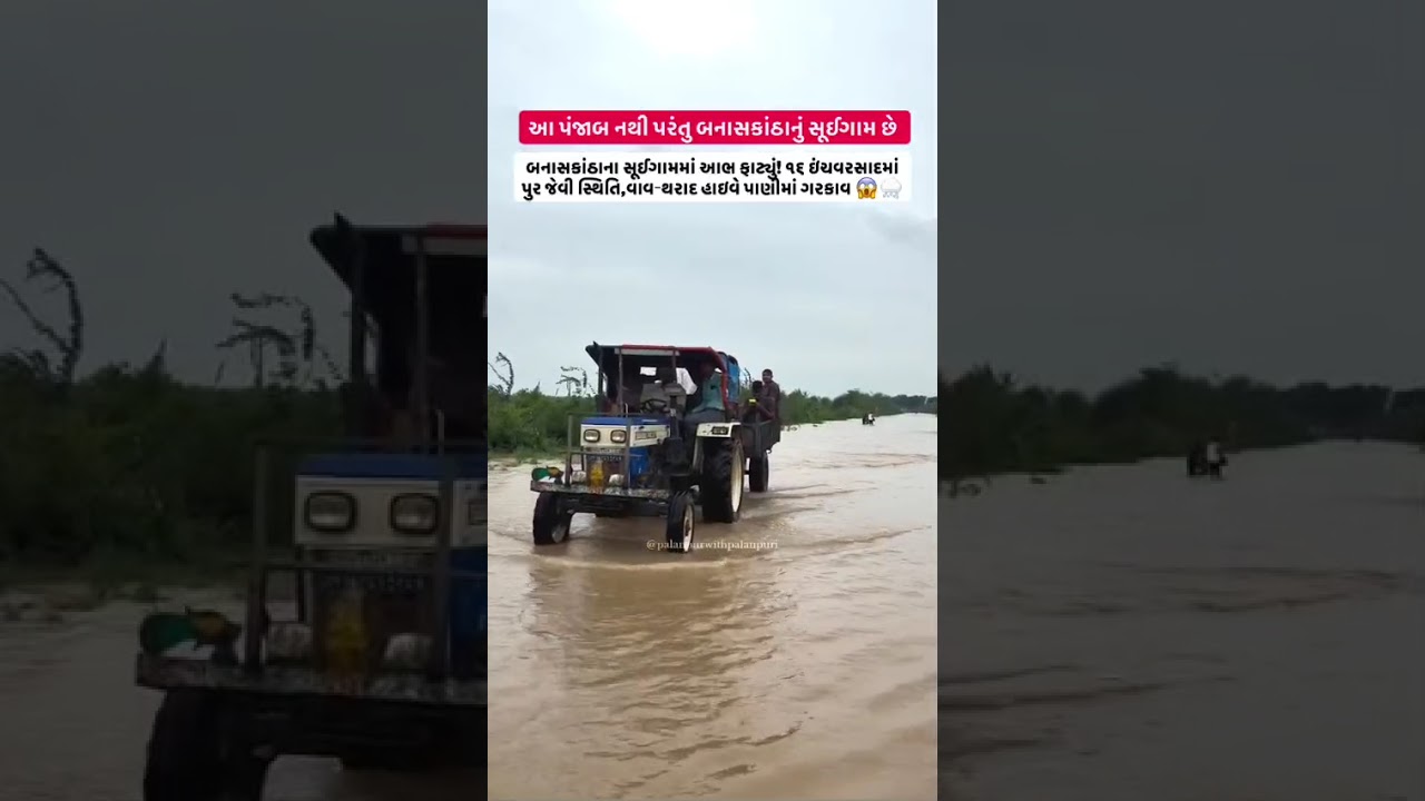Banaskantha Suigam after rain 🌧️🌧️☔☔