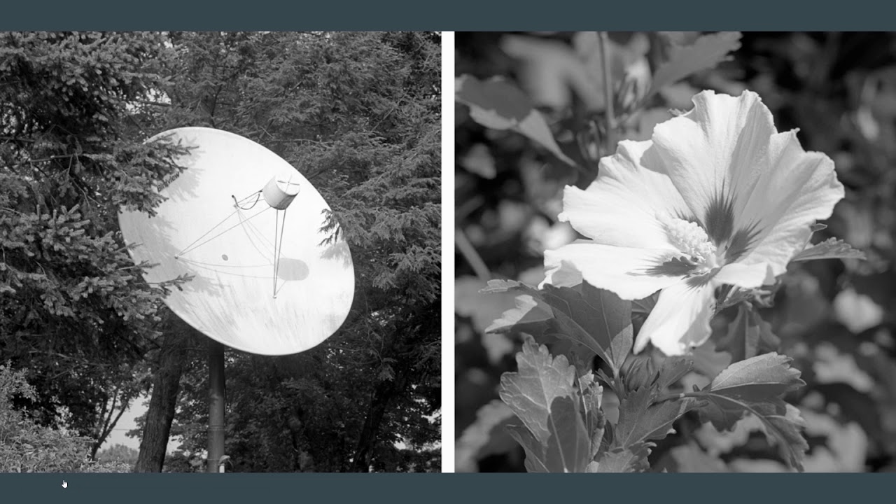 Photographic Diptychs