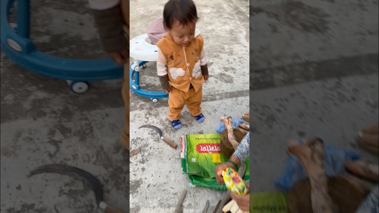खसि काटेको 😆बोजु नाति को जागर 🤣 #youtubevideo #minivlog #foryou #plz_subscribe_my_channel  #love 