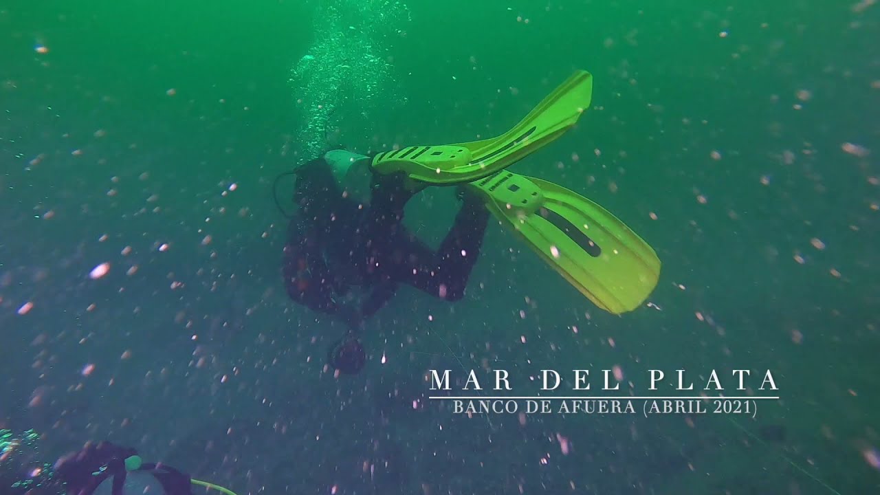 Buceo en Mar del Plata - Banco de afuera - Abril 2021