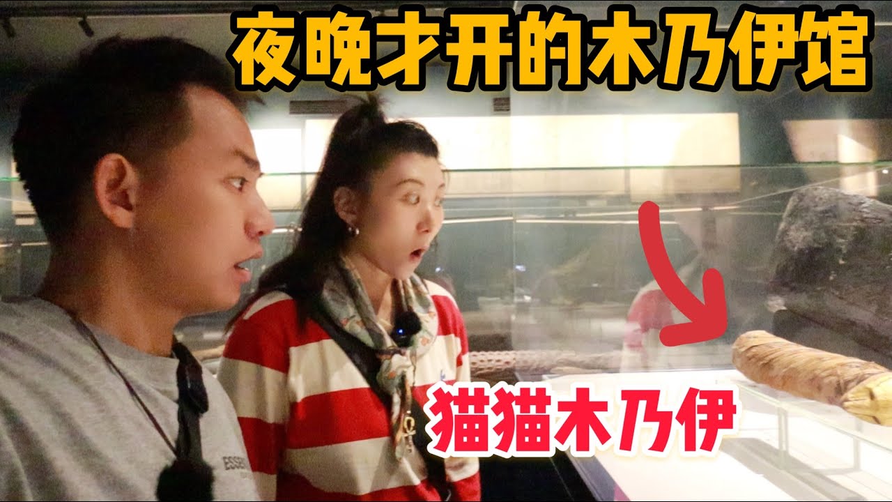 L235集：卢克索夜晚才开的木乃伊馆，还有酱板鸭木乃伊？卢克索城市暴走一天