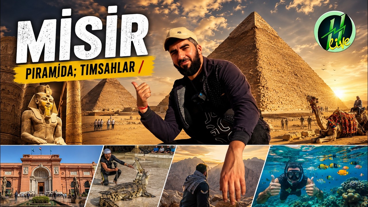 MİSİR / Piramida; Timsahlar / Harun Memmedov