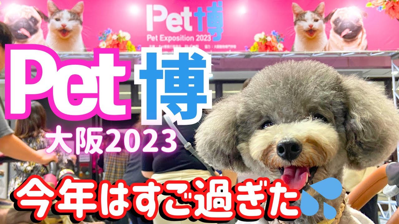 【Pet博2023大阪】ペット博に毎年行ってるけど今年は本当に凄すぎた！㏌インテックス大阪【前編】