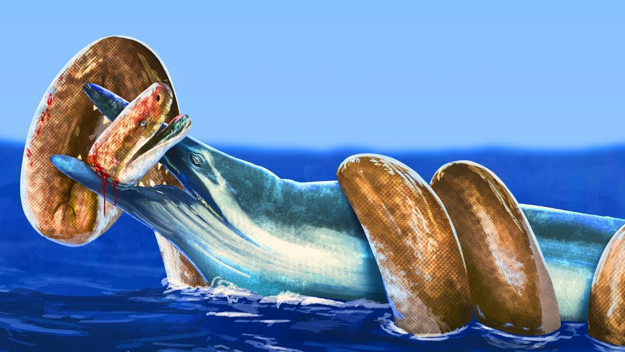 Doba, Kdy Byla Země Bez Ledu