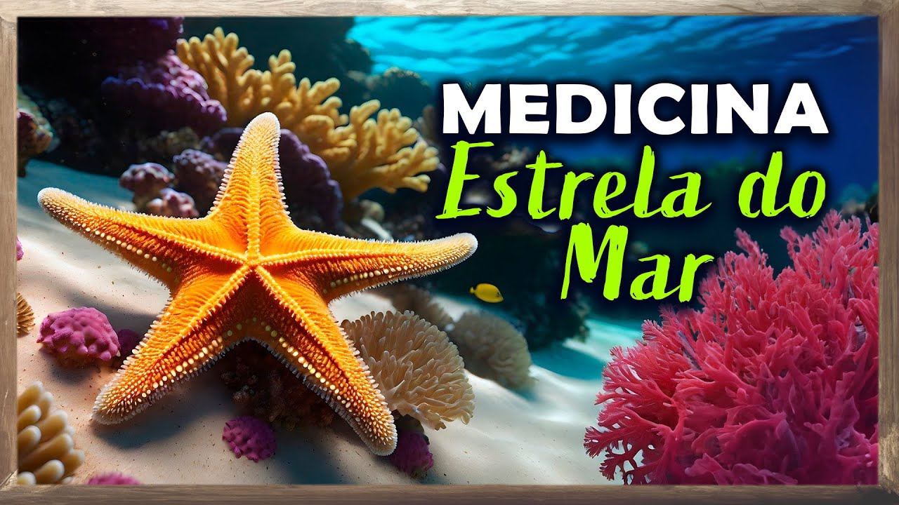 Medicina e Medita&ccedil;&atilde;o do arqu&eacute;tipo, Animal de Poder Estrela do Mar