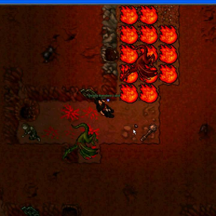 Tibia Hardcore