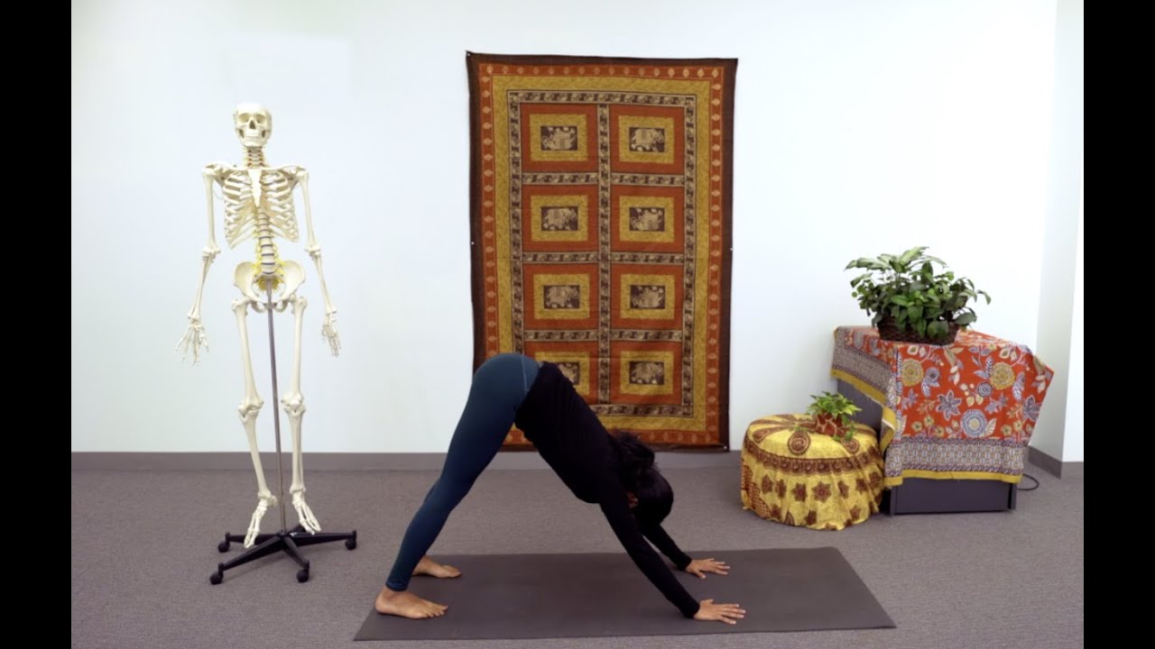 Introduction to Anatomy Through Yoga