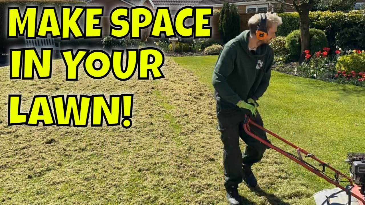 Thinning Out a THICK Lawn EASILY and QUICKLY