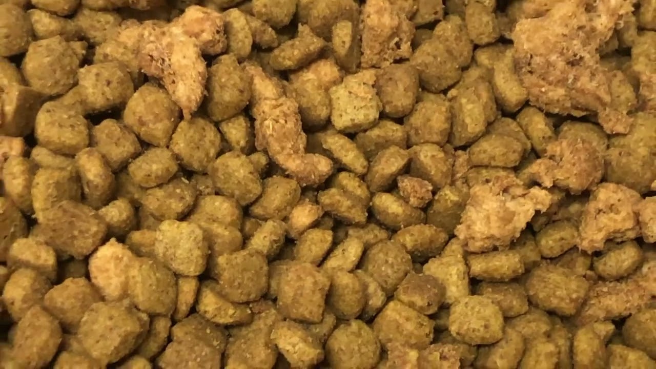 Uncovered Dog Food Causes Indian Meal Moth Infestation