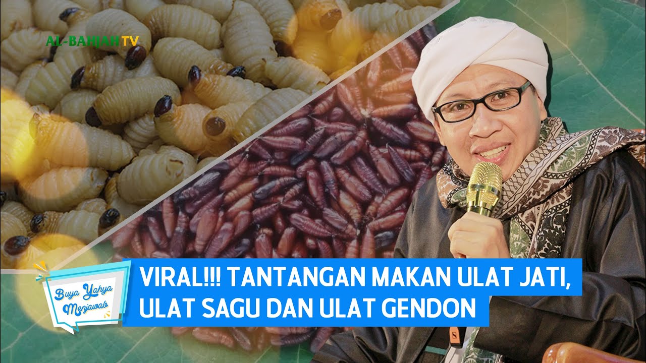 VIRAL!!! Tantangan Makan Ulat Jati, Ulat Sagu dan Ulat Gendon | Buya Yahya Menjawab