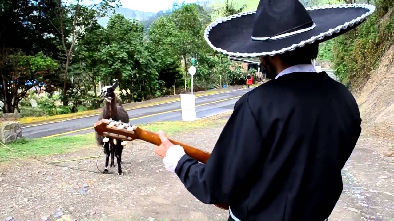 Chite - Por una rajita (Video)